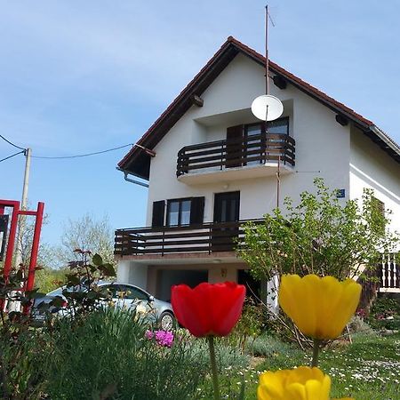 Apartment Ankica Seliste Dreznicko Dış mekan fotoğraf
