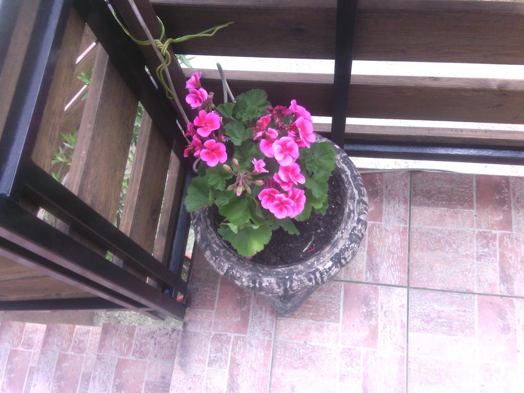 Apartment Ankica Seliste Dreznicko Oda fotoğraf