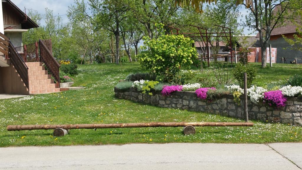 Apartment Ankica Seliste Dreznicko Dış mekan fotoğraf