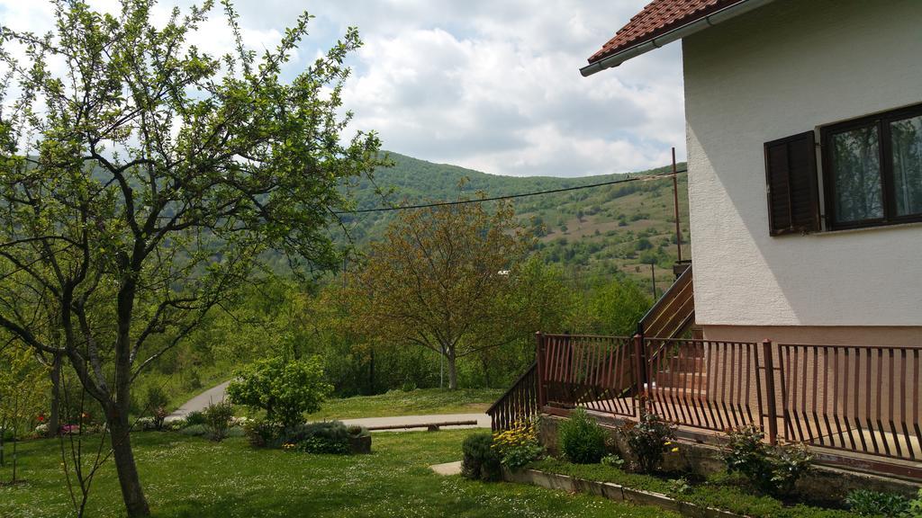 Apartment Ankica Seliste Dreznicko Dış mekan fotoğraf