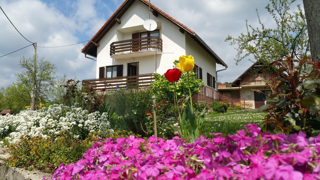 Apartment Ankica Seliste Dreznicko Dış mekan fotoğraf