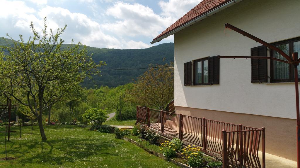 Apartment Ankica Seliste Dreznicko Dış mekan fotoğraf