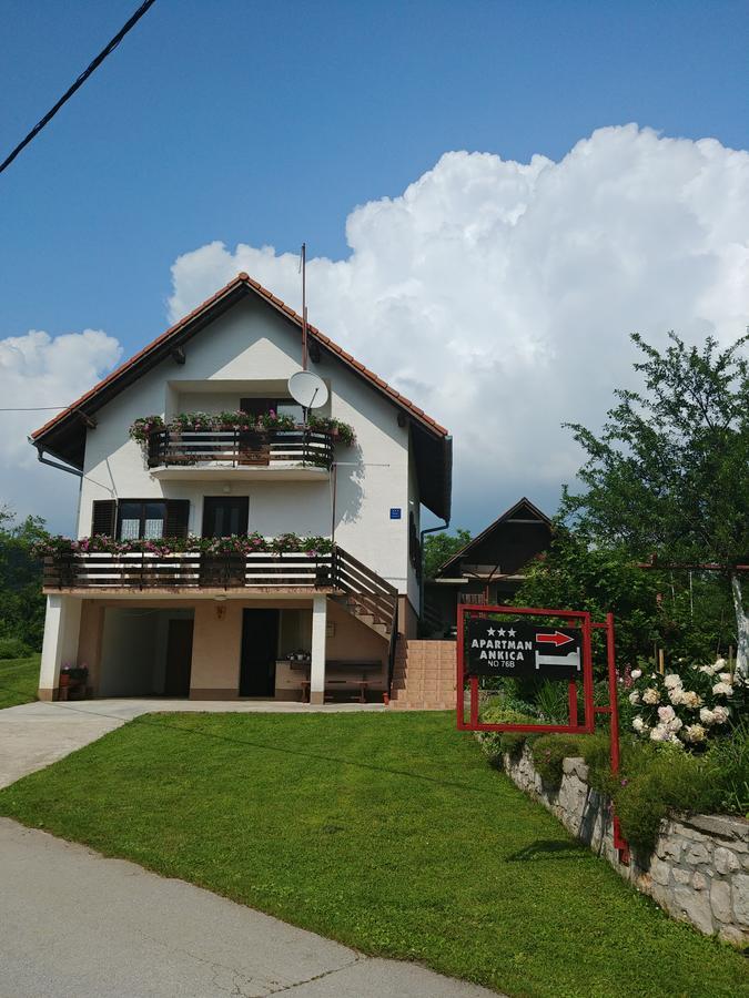 Apartment Ankica Seliste Dreznicko Dış mekan fotoğraf