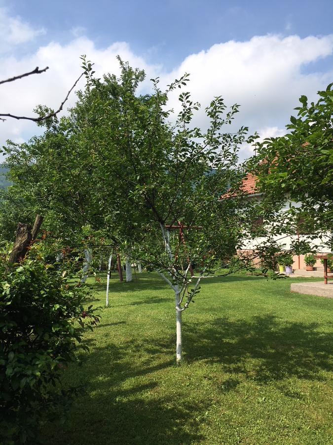 Apartment Ankica Seliste Dreznicko Dış mekan fotoğraf