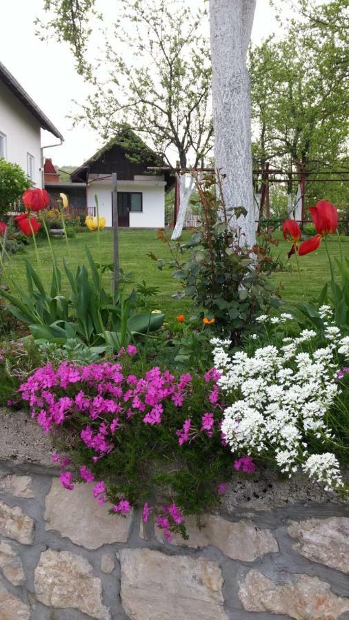 Apartment Ankica Seliste Dreznicko Dış mekan fotoğraf
