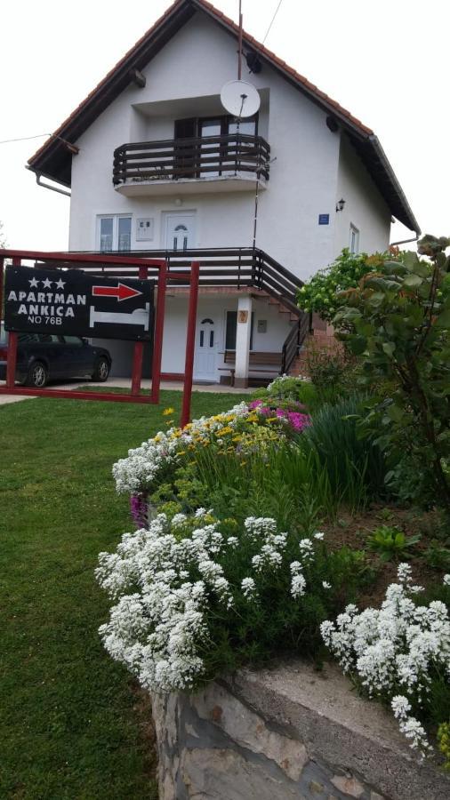 Apartment Ankica Seliste Dreznicko Dış mekan fotoğraf